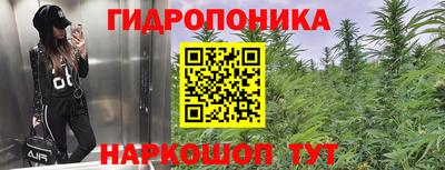 меф Гай